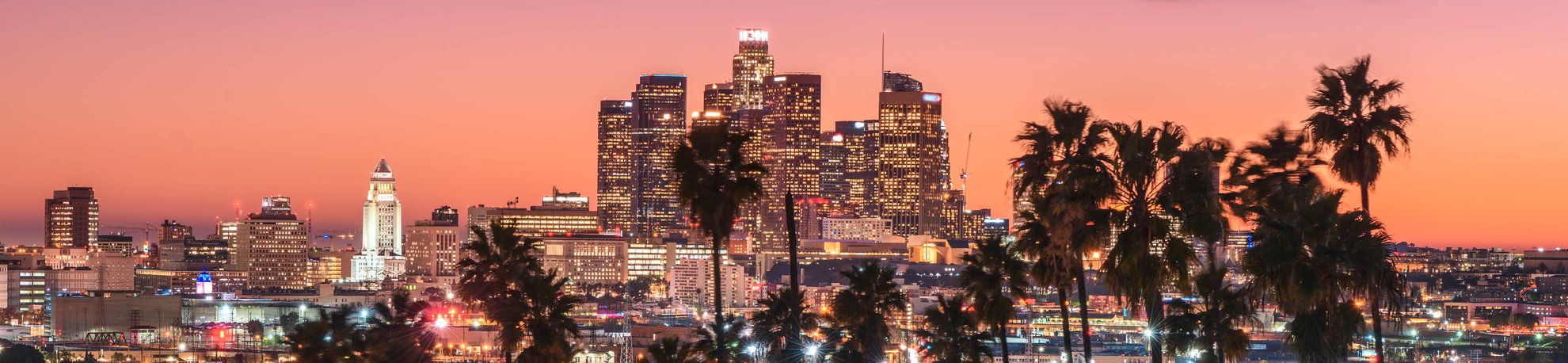 DTLA Skyline View