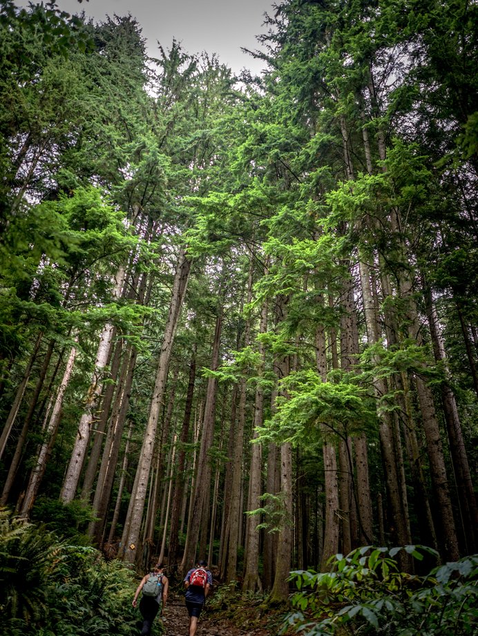 Grouse Grind