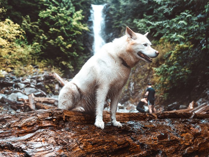 Norvan Falls North Vancouver